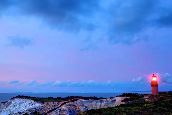 Highlights on the Vineyard