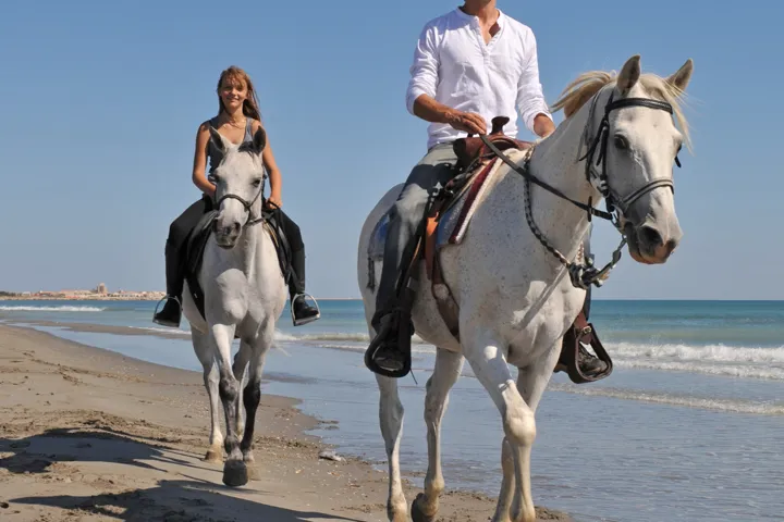 Horseback Riding on Martha's Vineyard